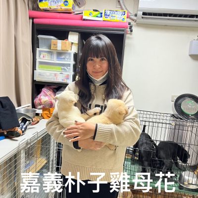 雞米花