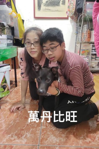 比旺