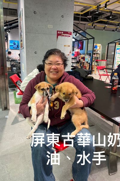 奶油