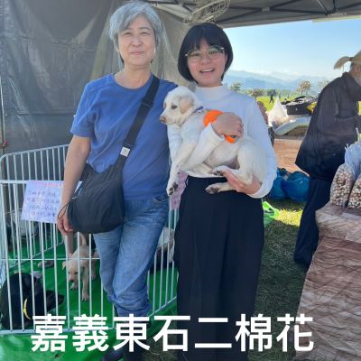 棉花