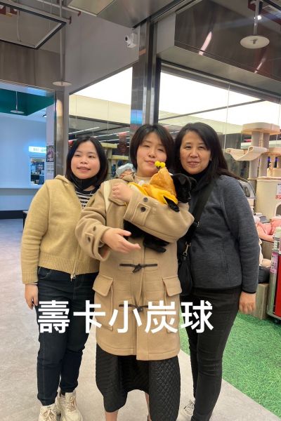 小炭球