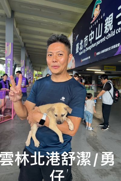 舒潔