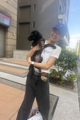 培根蛋
