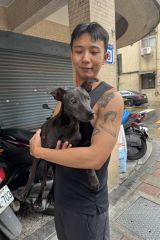 淑玄