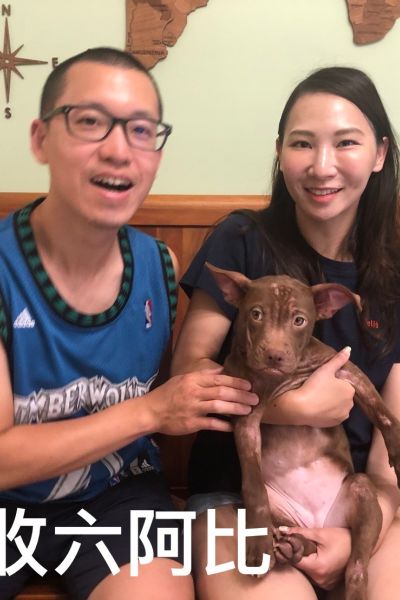 竹北六小比