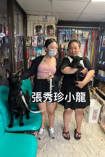 小龍