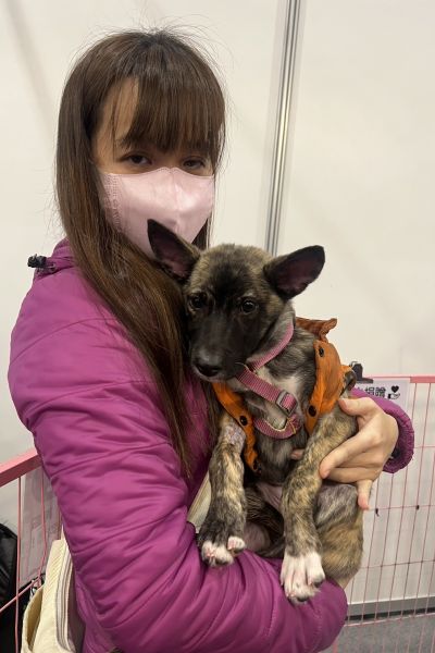 白白