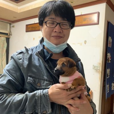 波卡