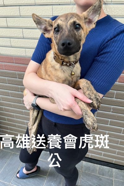 唬唬
