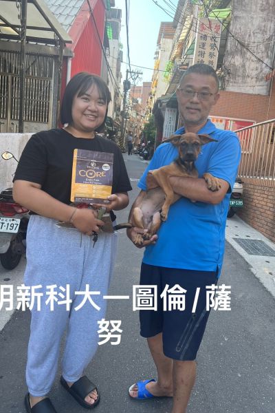 圖倫