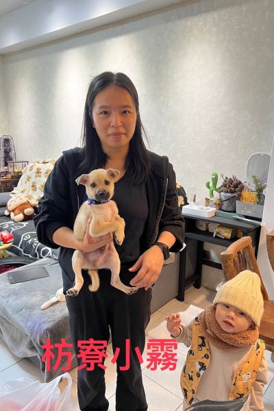 枋寮小霧