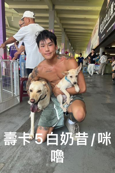 奶昔