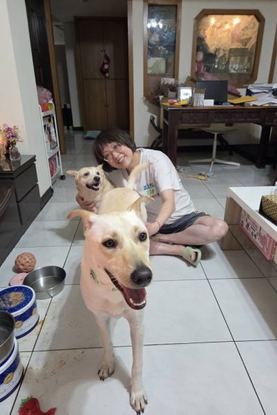 武則天(張曉武)