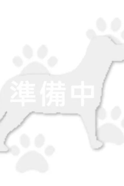 小力google