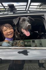 小黑羊