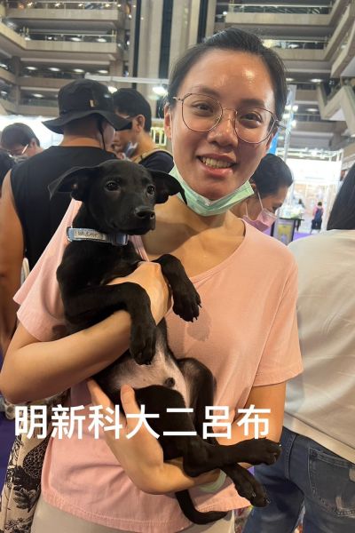 呂布
