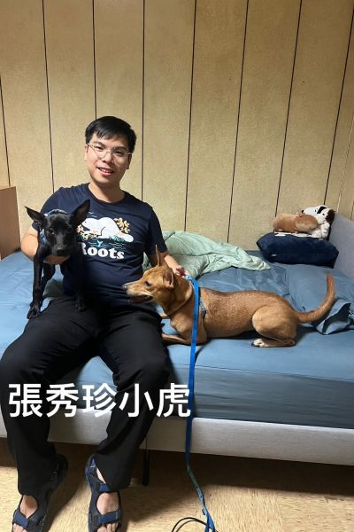 小虎