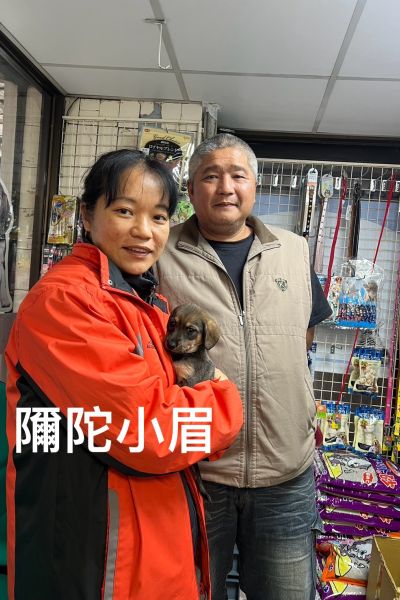 小眉