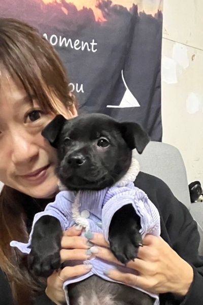 蘇格登