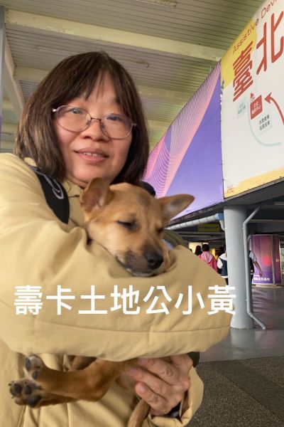 樂寶