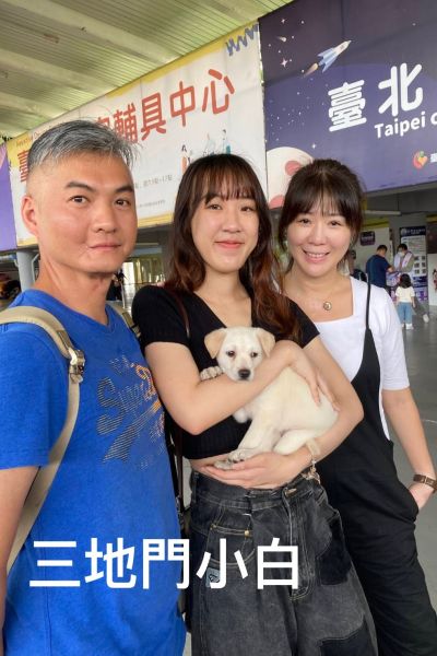 葵花籽