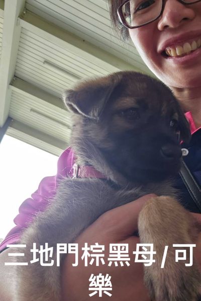 可樂