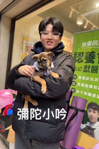 小吟
