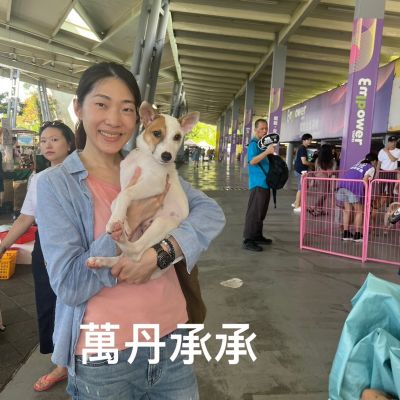 承承