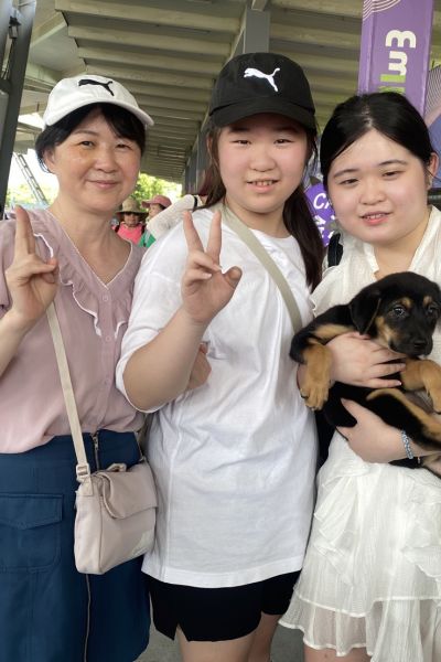 莫妮卡