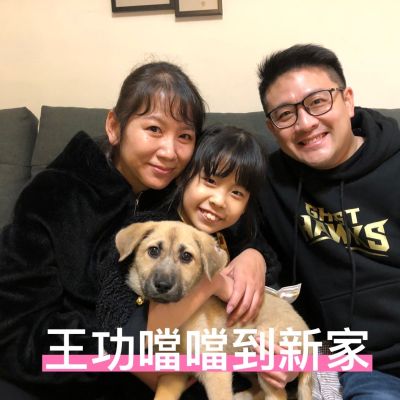 噹噹