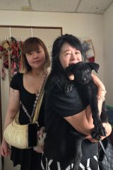 白柚
