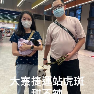 甜不辣