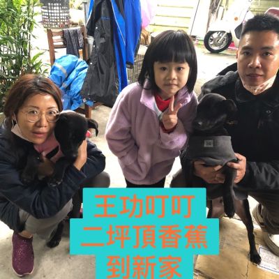 阿旺