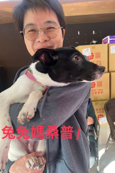 桑普