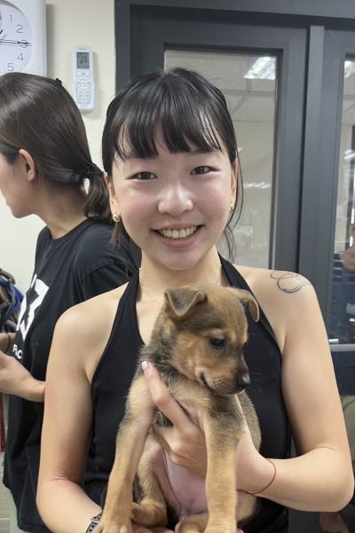 烏龍茶