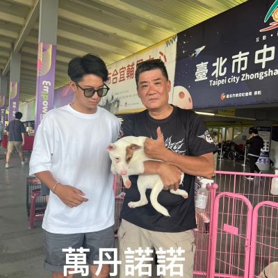 諾諾