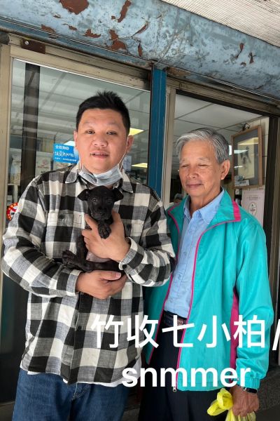 小柏