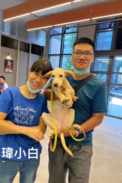 瑋小白